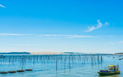 Découvrez les Secrets du Temps à Pyla sur Mer : Quand la Dune Raconte l’Histoire
