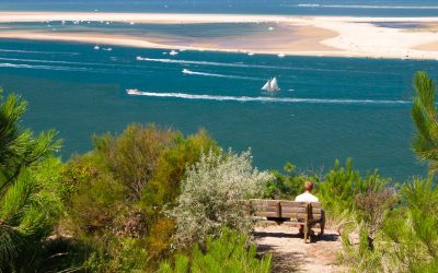 Pyla sur Mer : Les Secrets de la Dune qui Disparaît