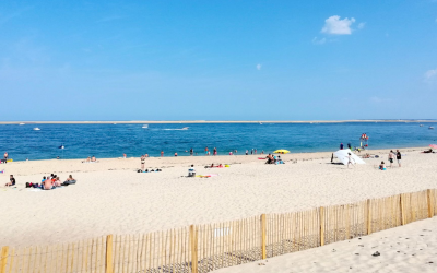 Pyla sur mer joyau atlantique entre dunes et forêts
