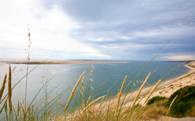 La teste de buch séduit entre dunes, huîtres et écotourisme
