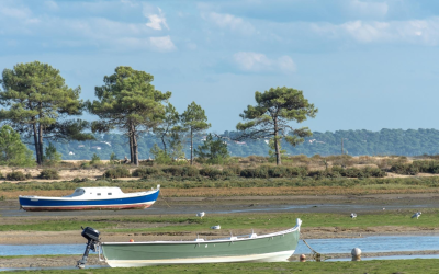Découvrez la teste de buch, perle unique du bassin d’arcachon