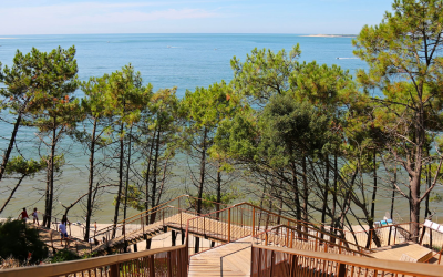 Découvrez le trésor naturel de Pyla sur Mer