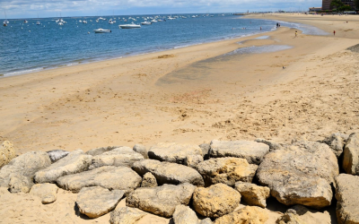 La teste de buch escale naturelle et durable du bassin