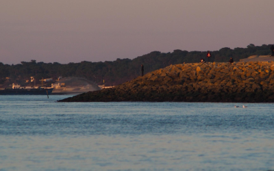 Découvrez la teste de buch, joyau vert du bassin d’arcachon