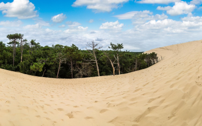Échappée belle à la teste-de-buch entre dunes et huîtres